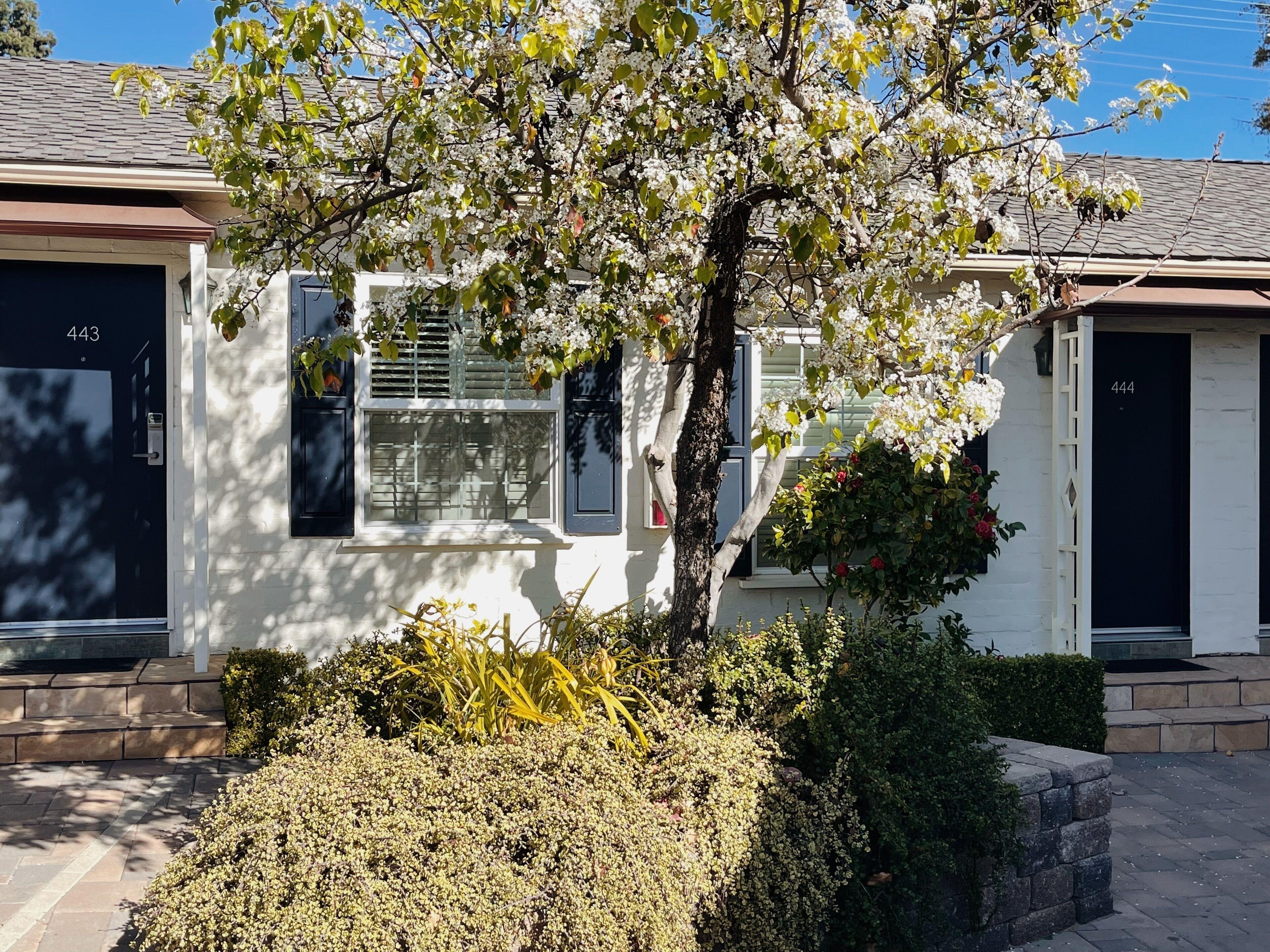 Le Petit Pali Brentwood — Fotos 1